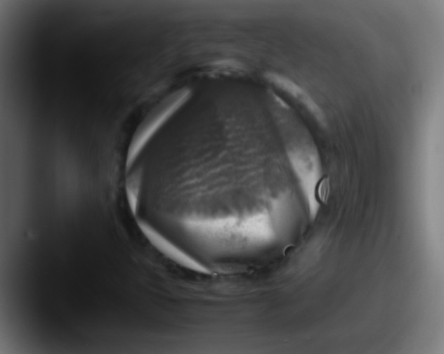 X0000087621399200705181305