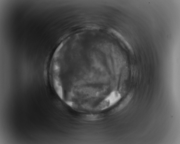 X0000087621401200705181305