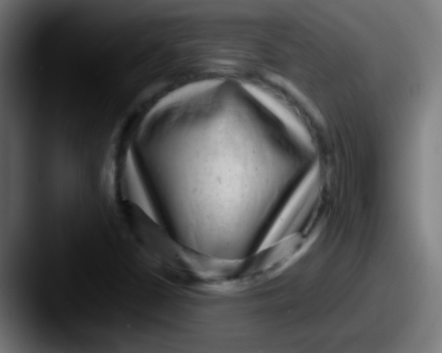 X0000087621402200705181305