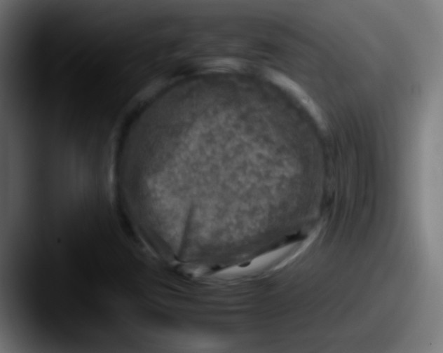 X0000087621403200705181305