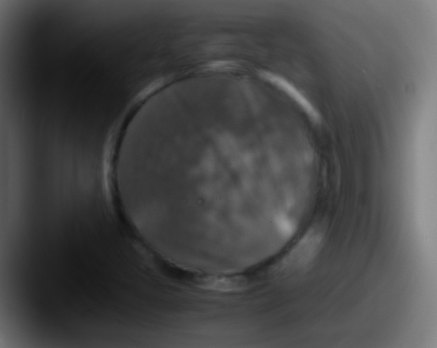X0000087621405200705181305