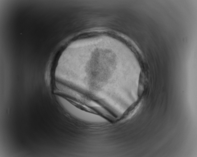 X0000087621406200705181305