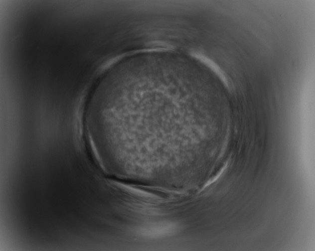 X0000087621407200705181305