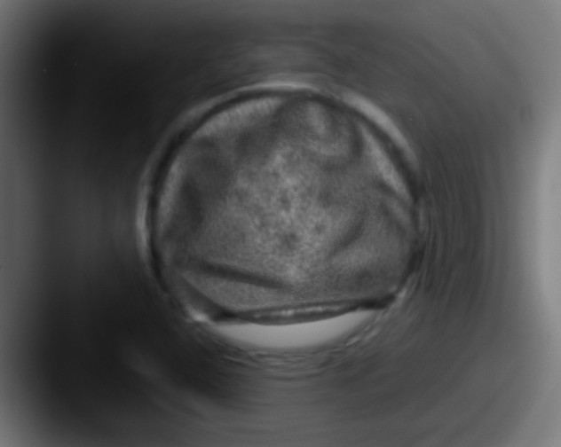 X0000087621408200705181305