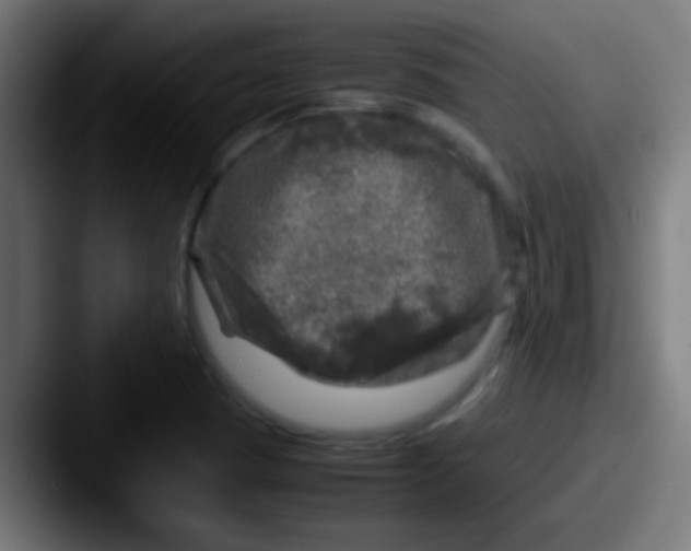 X0000087621409200705181305