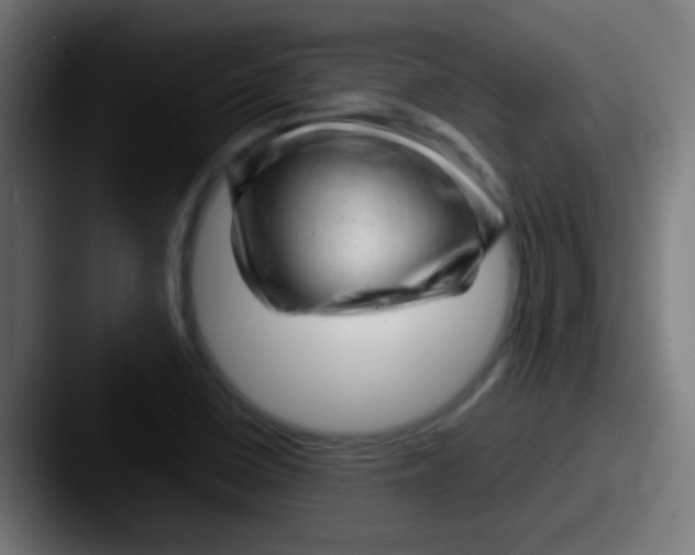 X0000087621410200705181305
