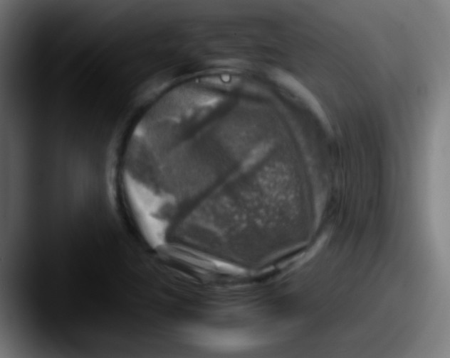 X0000087621411200705181305