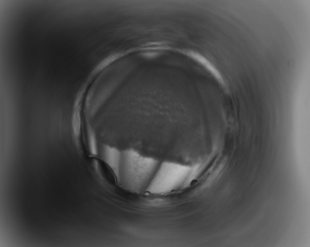 X0000087621413200705181305