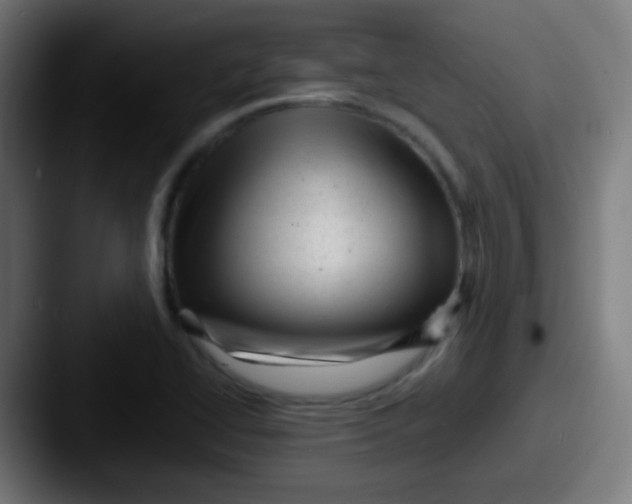 X0000087621414200705181305