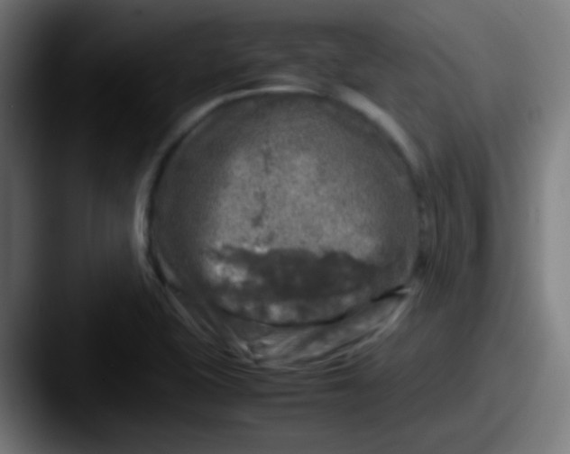 X0000087621415200705181305