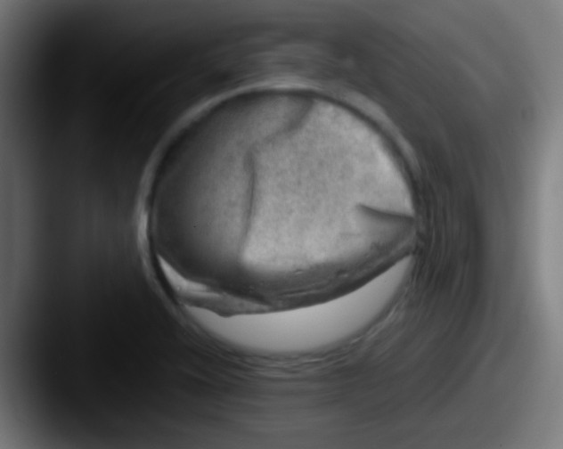X0000087621416200705181305