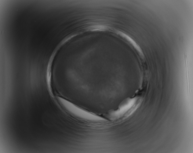 X0000087621418200705181305