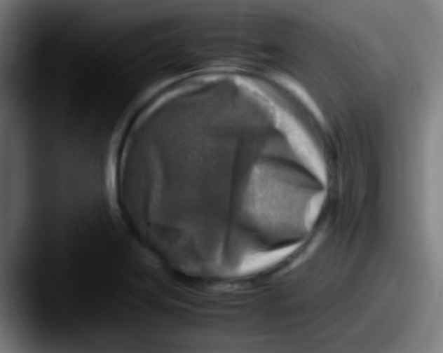 X0000087621419200705181305