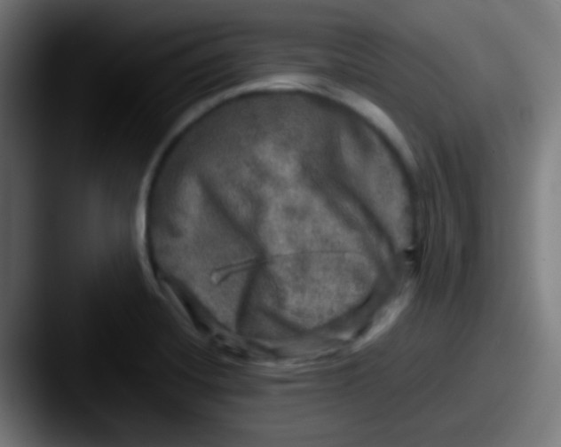X0000087621420200705181305
