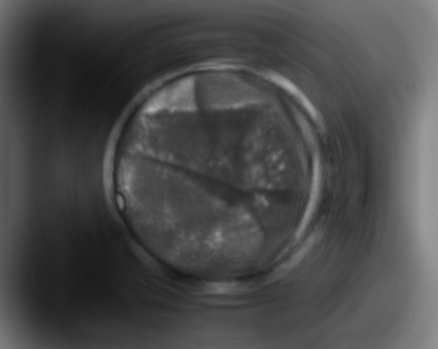 X0000087621421200705181305