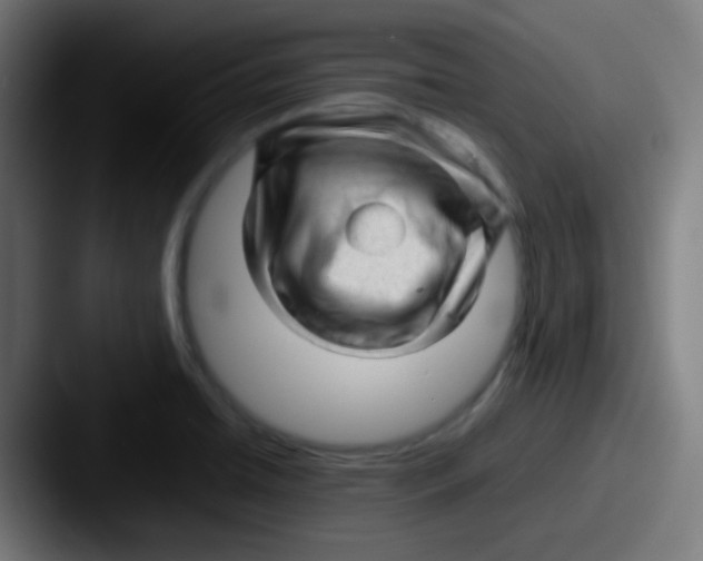 X0000087621422200705181305