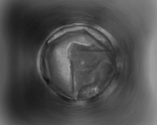 X0000087621423200705181305