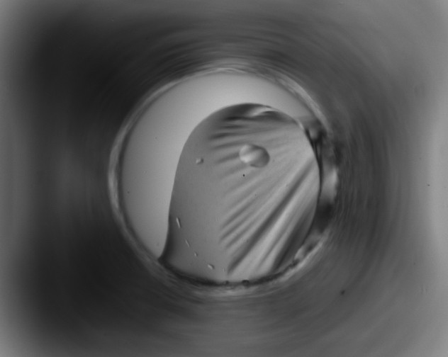 X0000087621426200705181305