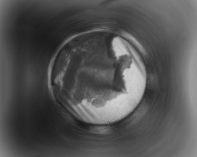 X0000087621427200705181305