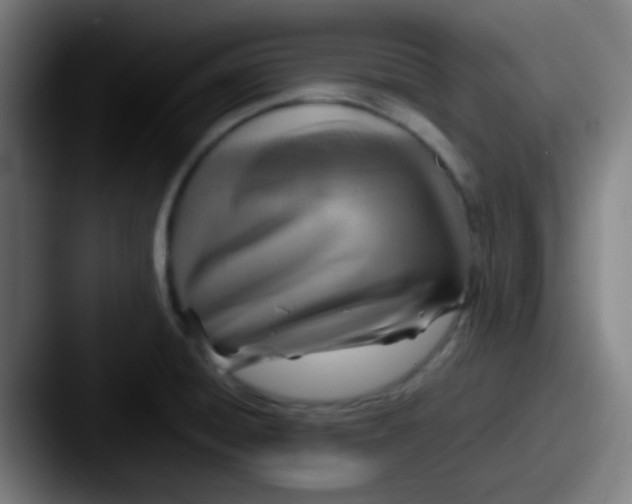 X0000087621428200705181305