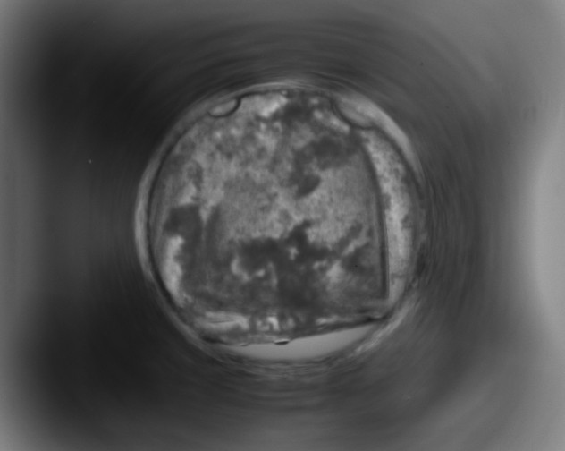 X0000087621429200705181305