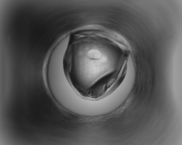 X0000087621430200705181305