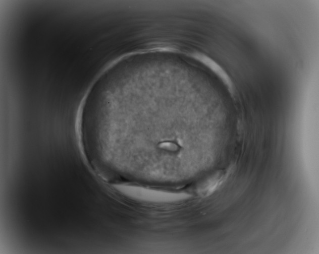 X0000087621431200705181305