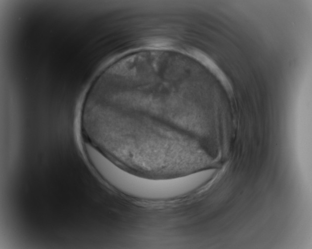 X0000087621432200705181305