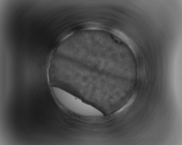 X0000087621433200705181305