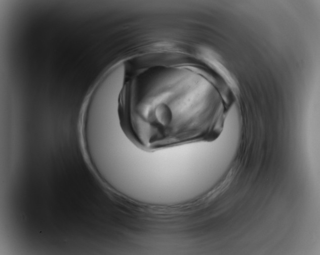 X0000087621434200705181305