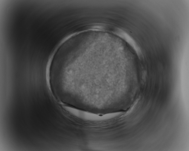 X0000087621435200705181305
