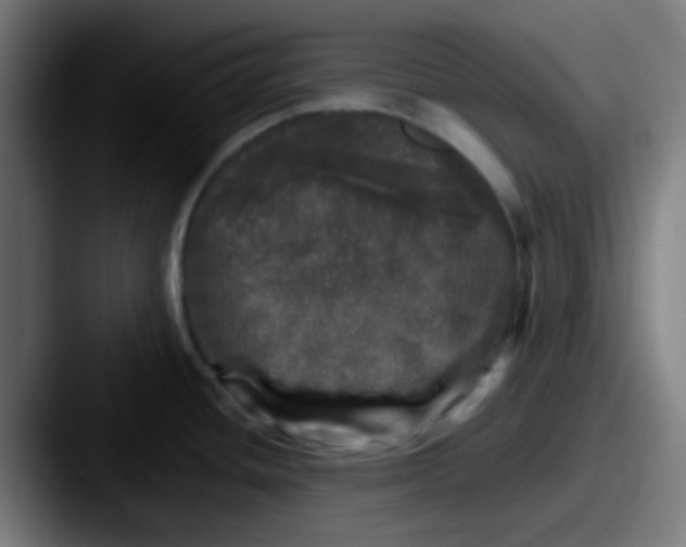 X0000087621436200705181305