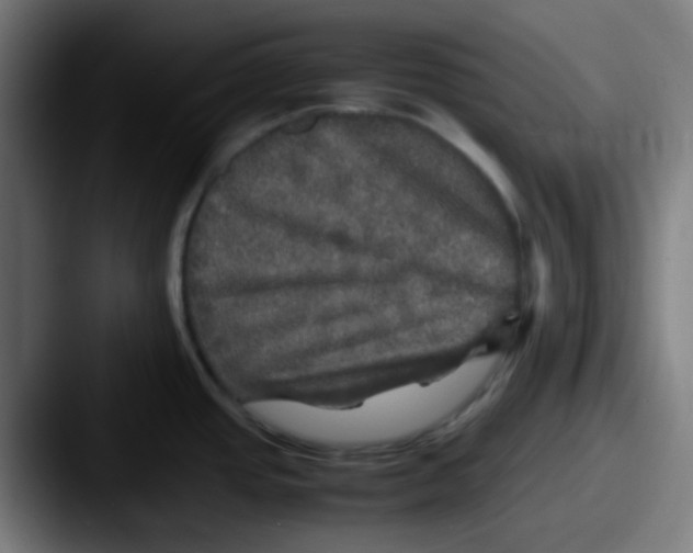 X0000087621437200705181305