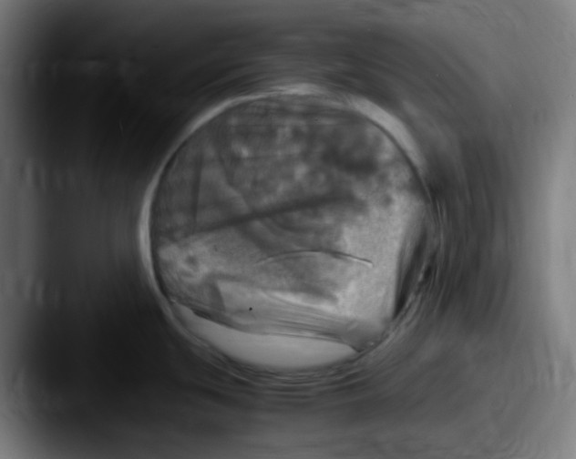X0000087621439200705181305