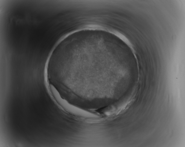 X0000087621440200705181305