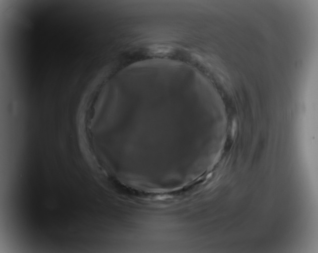 X0000087621441200705181304