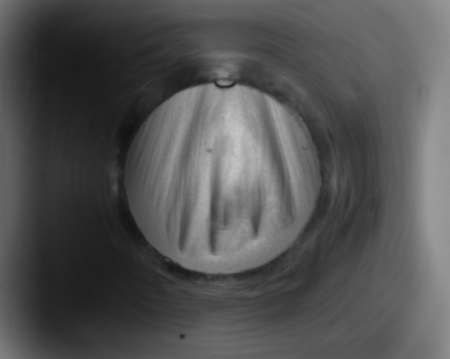 X0000087621442200705181304