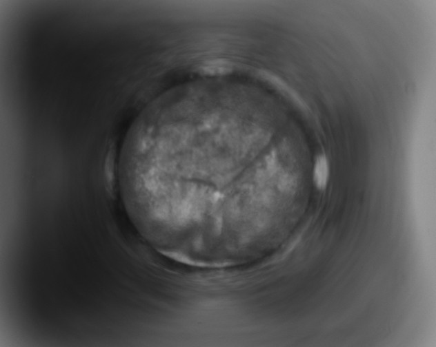 X0000087621444200705181304