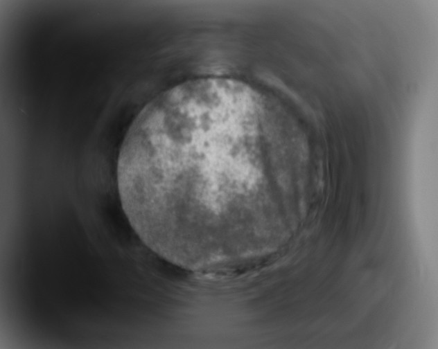 X0000087621446200705181304
