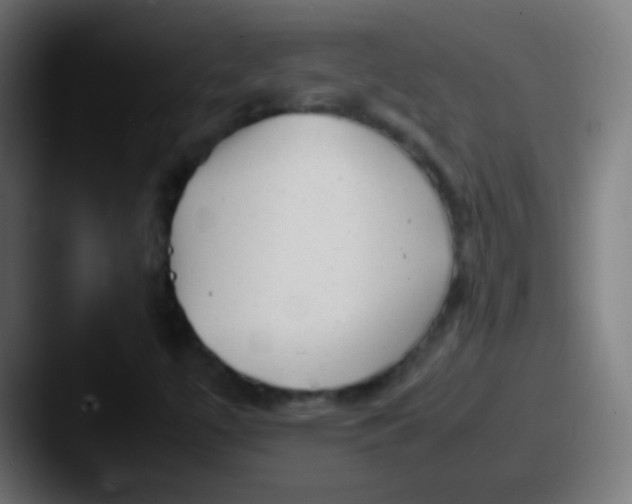X0000087621447200705181304
