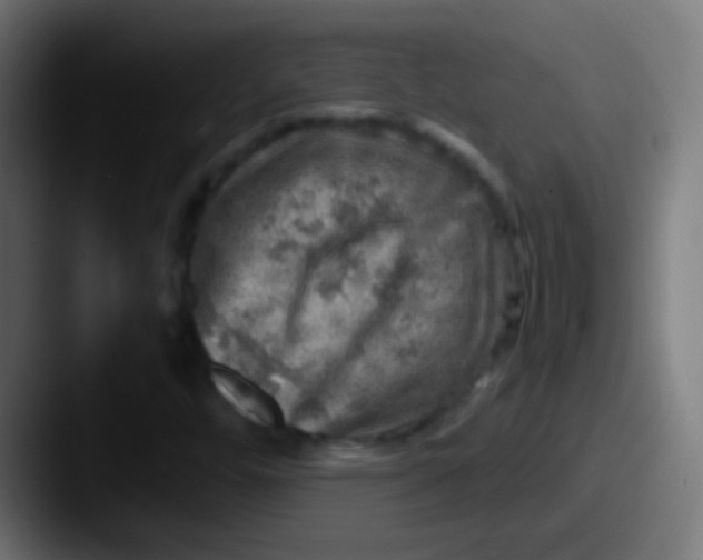 X0000087621448200705181304