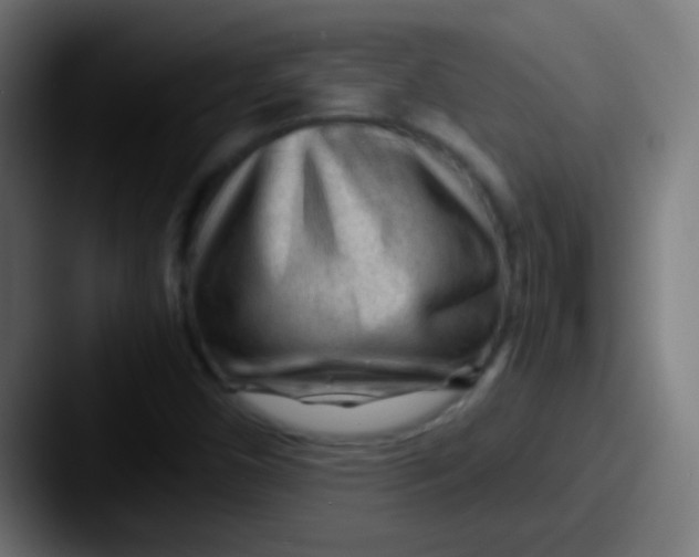X0000087621450200705181304