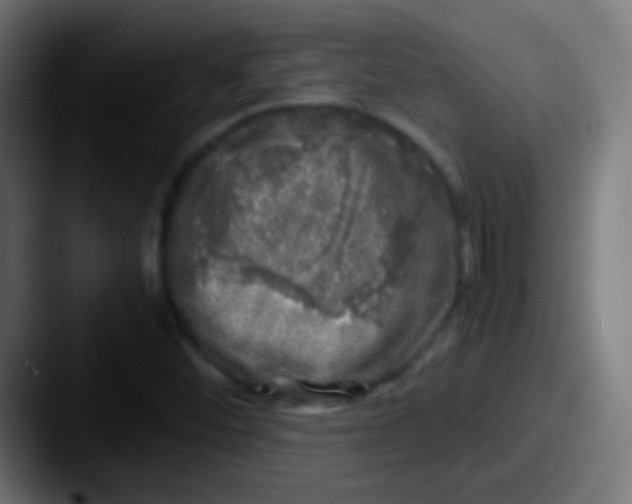 X0000087621452200705181304