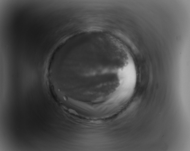 X0000087621453200705181304