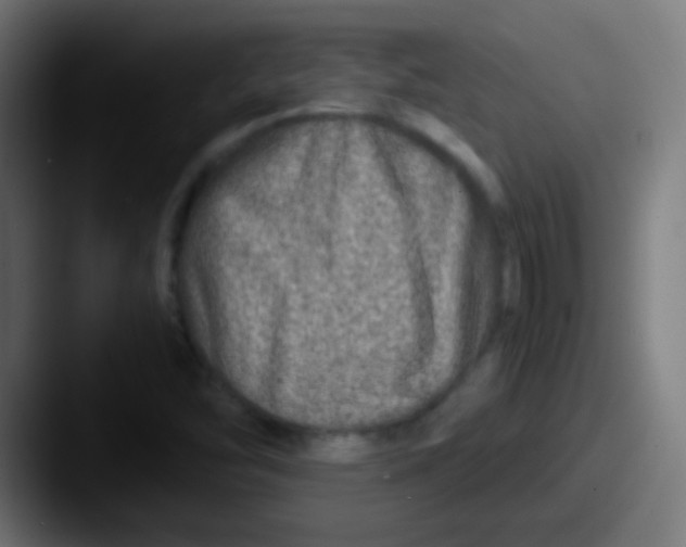 X0000087621454200705181304