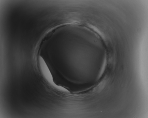 X0000087621455200705181304