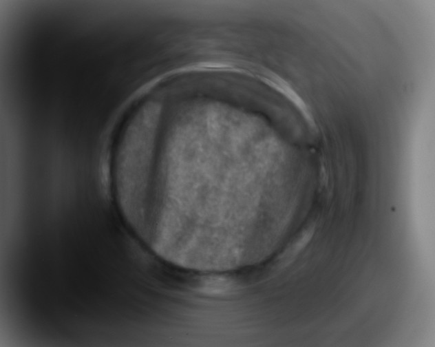 X0000087621456200705181304