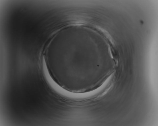 X0000087621457200705181304