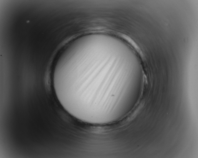 X0000087621458200705181304