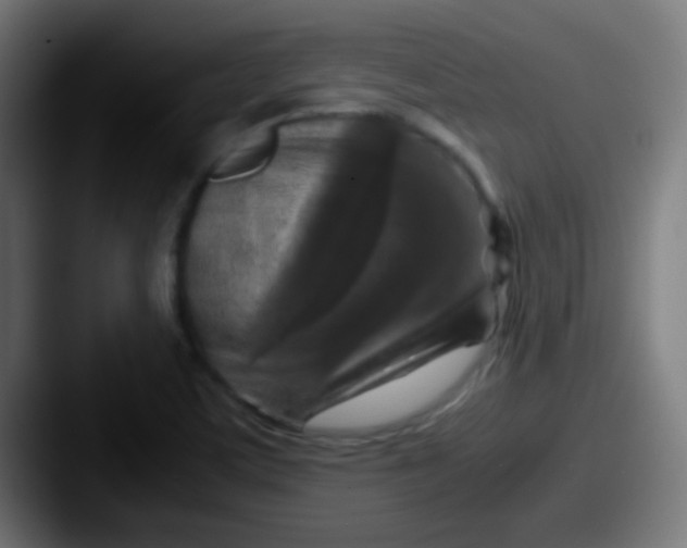 X0000087621459200705181304